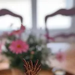 De Charme 15 Pers Avec Piscine - * 발랑솔